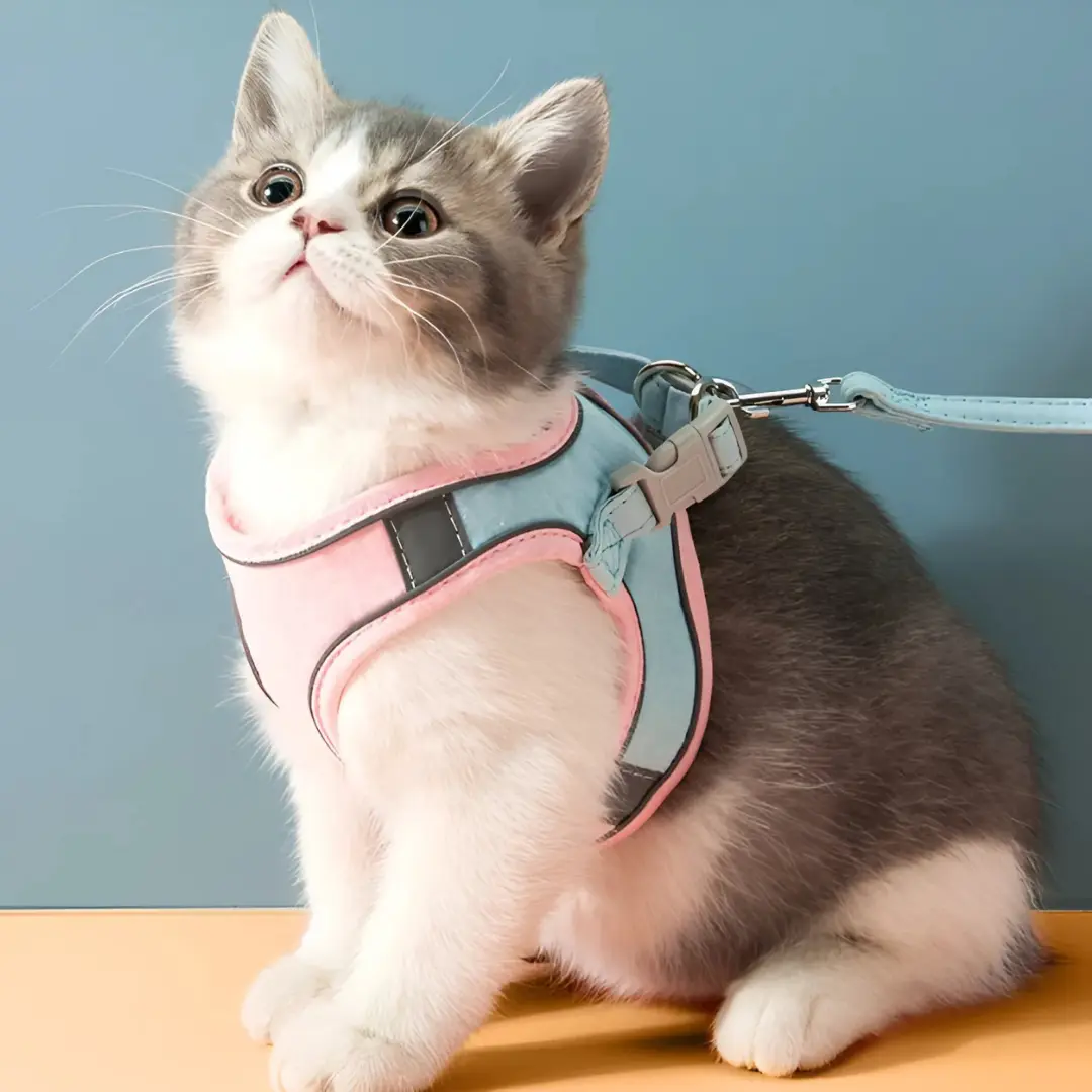 Catventure | Adjustable Safety Harness for Cats – Comfort & Security for Every Adventure TARHUS Kattentuigje – Verstelbaar en Ontsnappingsproof Kattenharnas met Reflecterende Strepen, Veiligheidstuigje en Inclusief Verstelbare Kattenriem