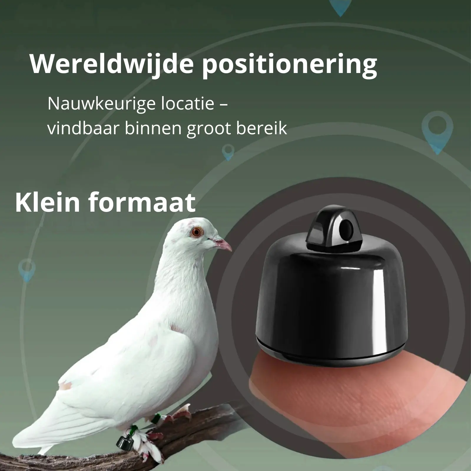 SmartPet Mini Bluetooth Tracker – Compact Pet Locator for Cats, Dogs & Small Pets | iOS & Android Compatible - TARHUS