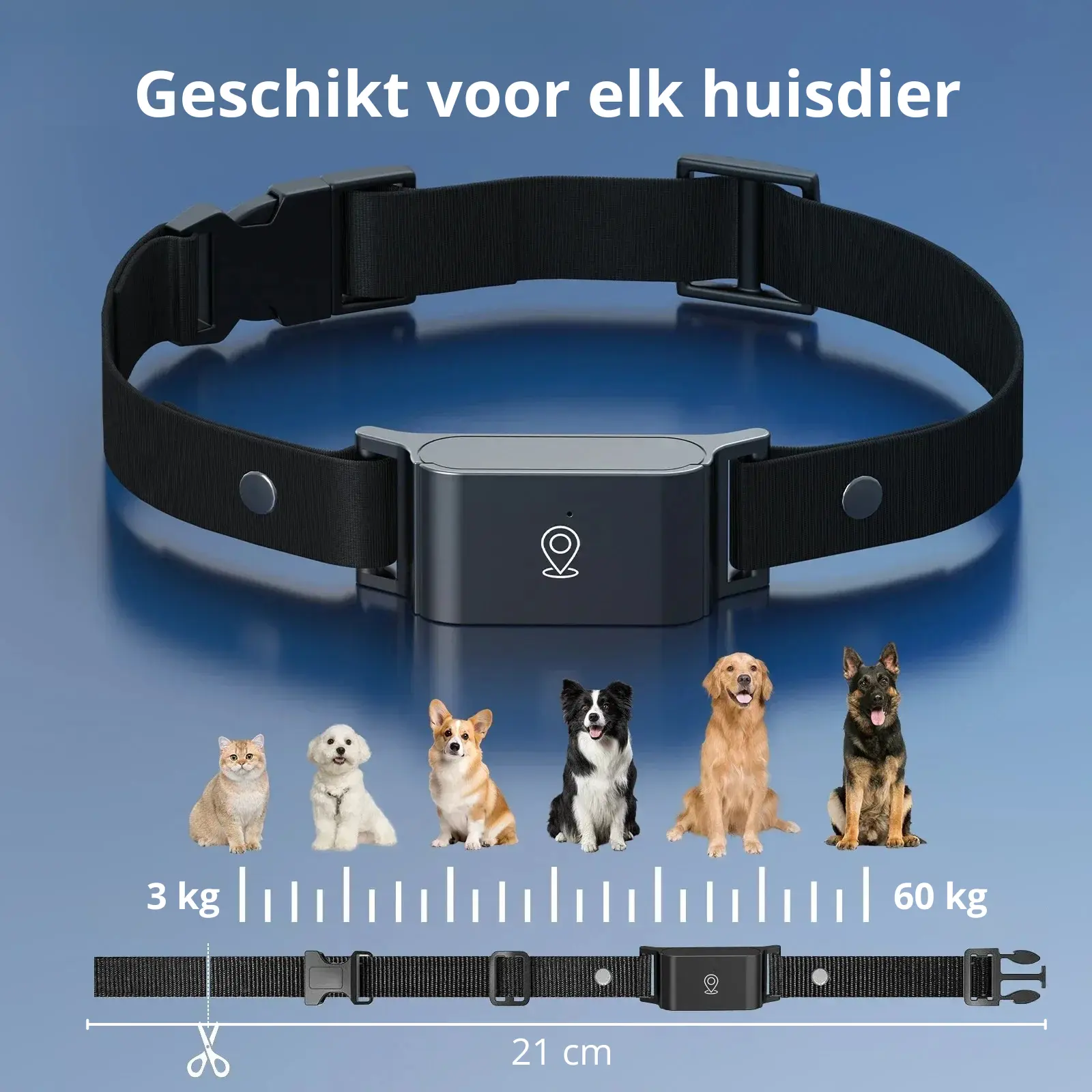 4G GPS Pet Tracker Collar – Waterproof Smart Locator for Cats & Dogs | Realtime Tracking with Free App (iOS & Android) - TARHUS