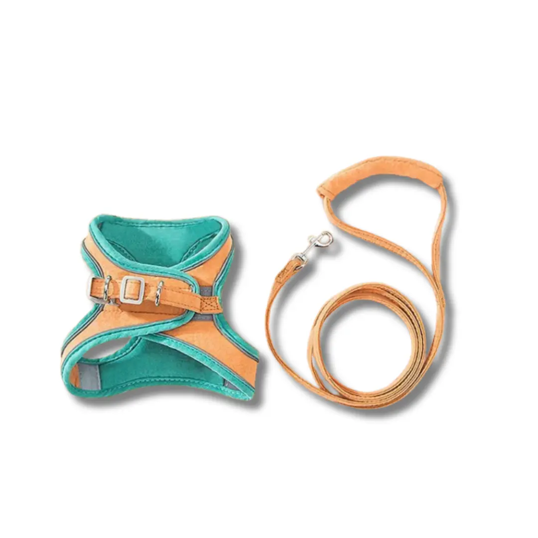 Catventure | Adjustable Safety Harness for Cats – Comfort & Security for Every Adventure TARHUS Kattentuigje – Verstelbaar en Ontsnappingsproof Kattenharnas met Reflecterende Strepen, Veiligheidstuigje en Inclusief Verstelbare Kattenriem