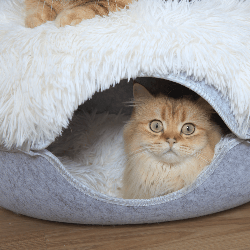 Cat Cave Calming Donut Bed for Anxiety Relief & Cozy Sleeping TARHUS Animals & Pet Supplies