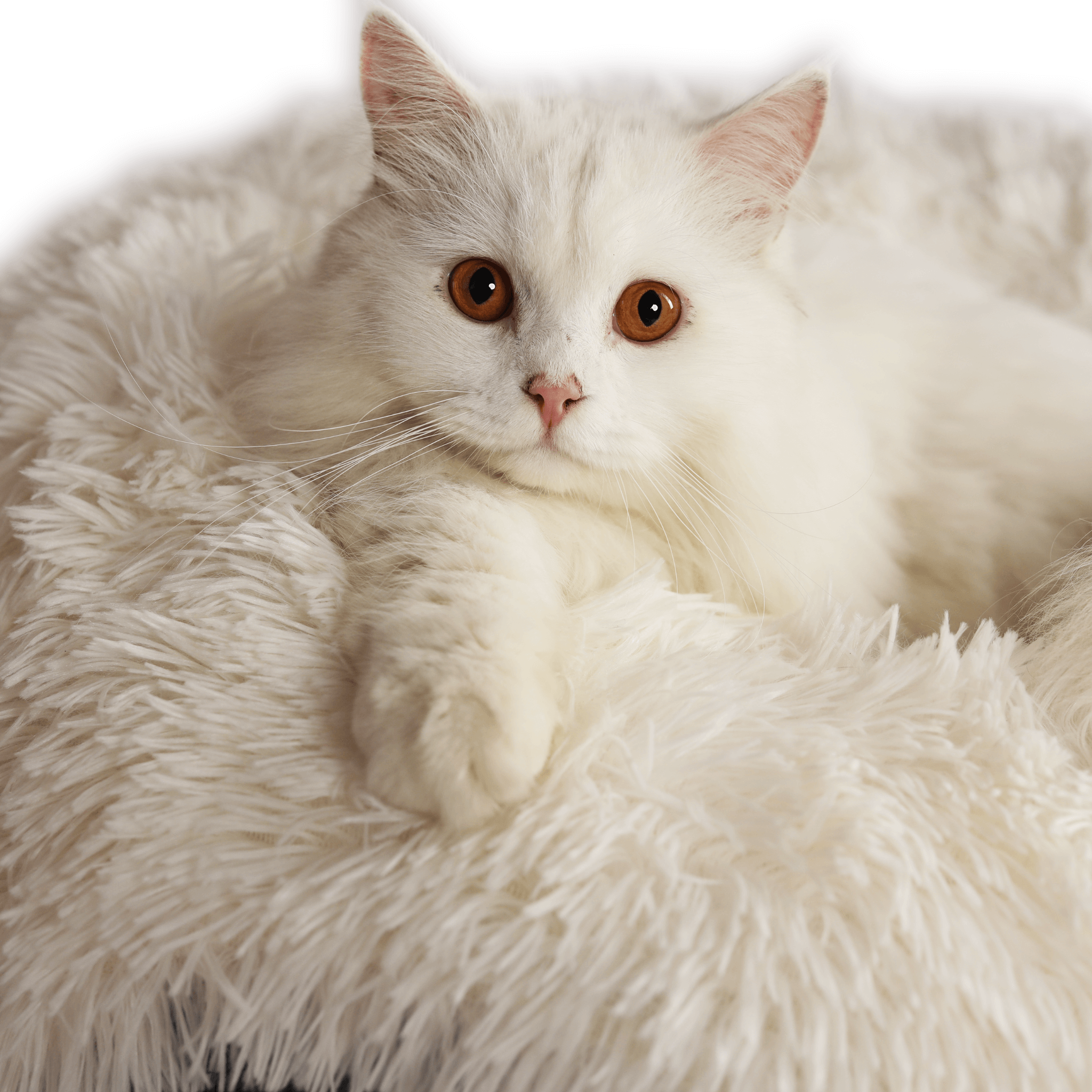 Cat Cave Calming Donut Bed for Anxiety Relief & Cozy Sleeping TARHUS Animals & Pet Supplies