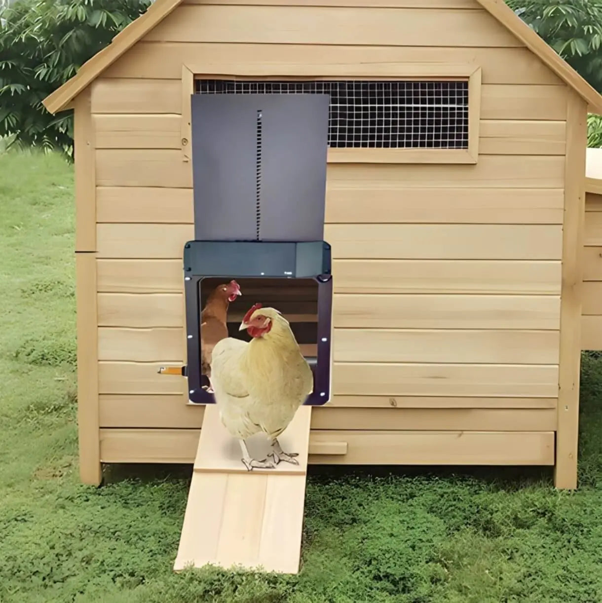 CluckGuard - Chicken Coop Automatic Door Tarhus