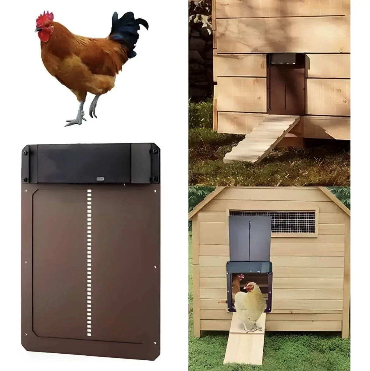 CluckGuard - Chicken Coop Automatic Door Tarhus
