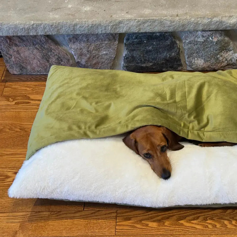 Snootzi - Dog Bed with Built-In Blanket - TARHUS