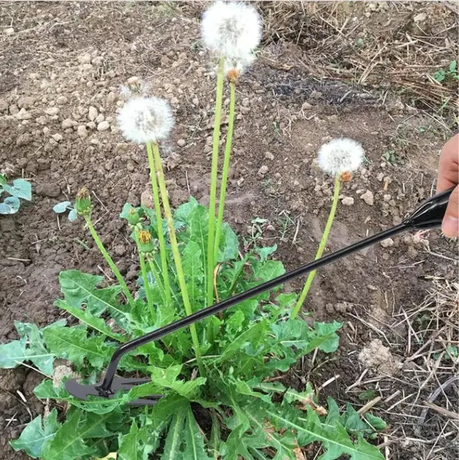 Deep-Root Uprooting Weeding Tool - TARHUS