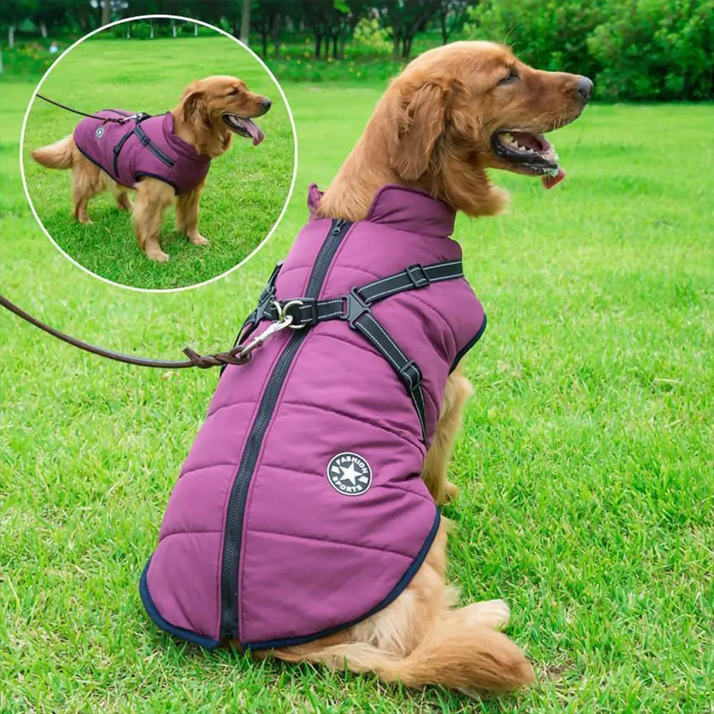 Waterproof Dog Jacket – Keep Your Pup Warm & Dry This Aussie Winter - TARHUS
