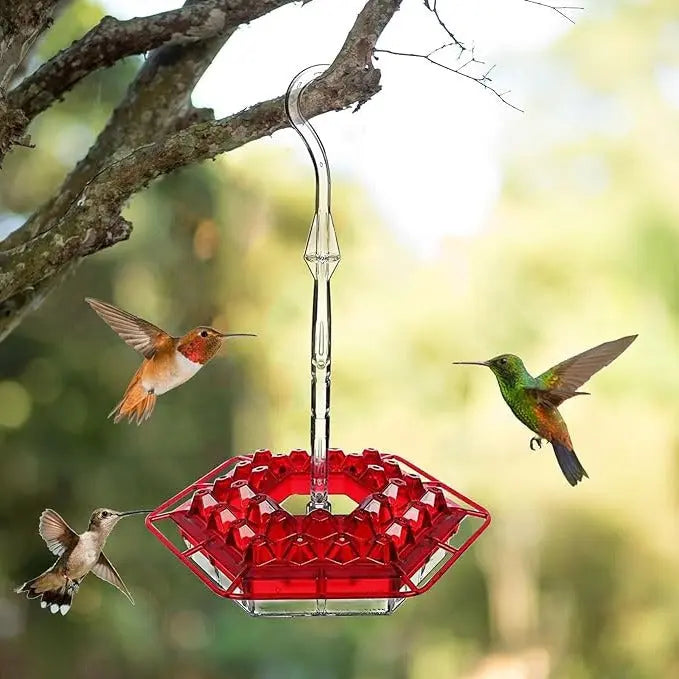 Ant-Proof Hummingbird Feeder – Outdoor Hanging Feeder with Perch | Leak-Free, Easy to Fill & Clean - TARHUS