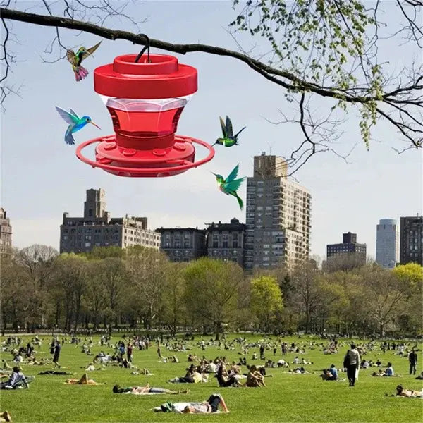 Bee-Proof Hanging Hummingbird Feeder with Perch – Leak-Free Design, Ant Guard, Easy-Clean Reservoir - TARHUS