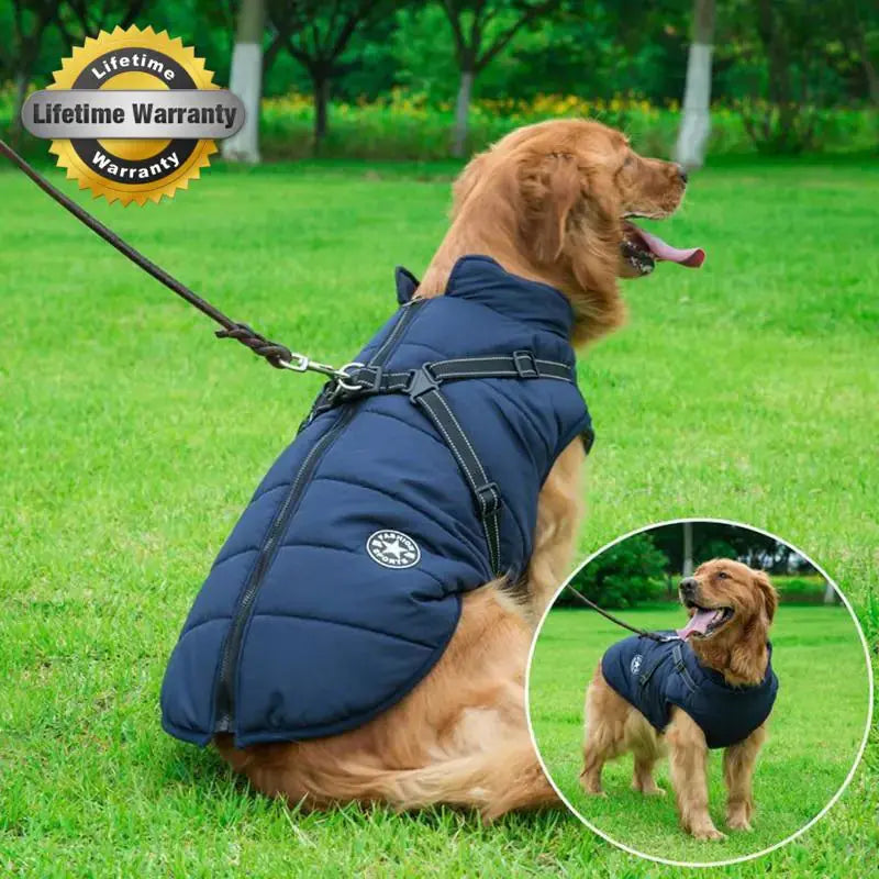 Waterproof Dog Jacket – Keep Your Pup Warm & Dry This Aussie Winter - TARHUS