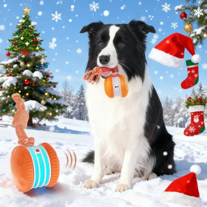 Interactive Dog Toy | Smart Rolling Ball for Active Pets TARHUS Pets