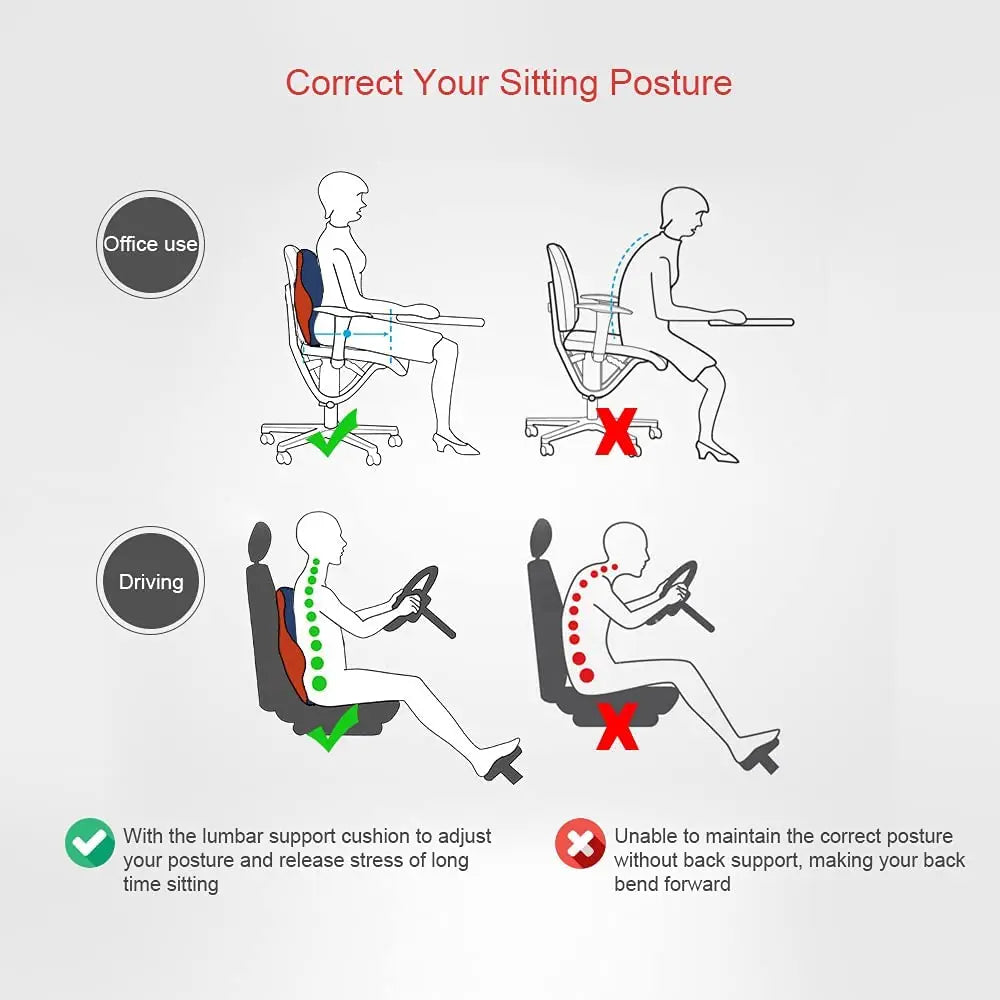 BackMaster - Ergonomic Lumbar Support Cushion Pillow Tarhus