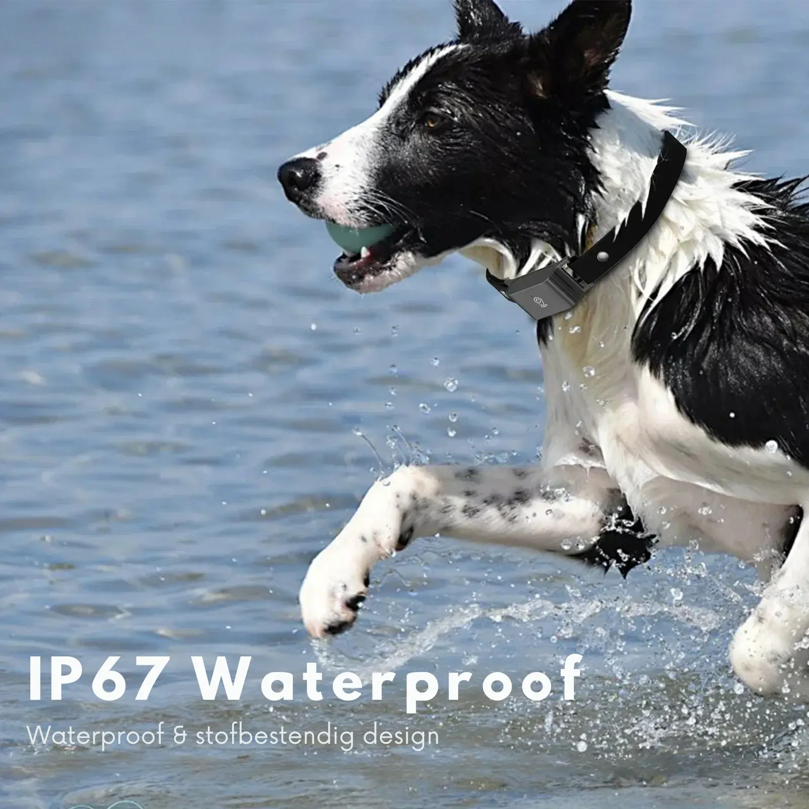 4G GPS Pet Tracker Collar – Waterproof Smart Locator for Cats & Dogs | Realtime Tracking with Free App (iOS & Android) - TARHUS