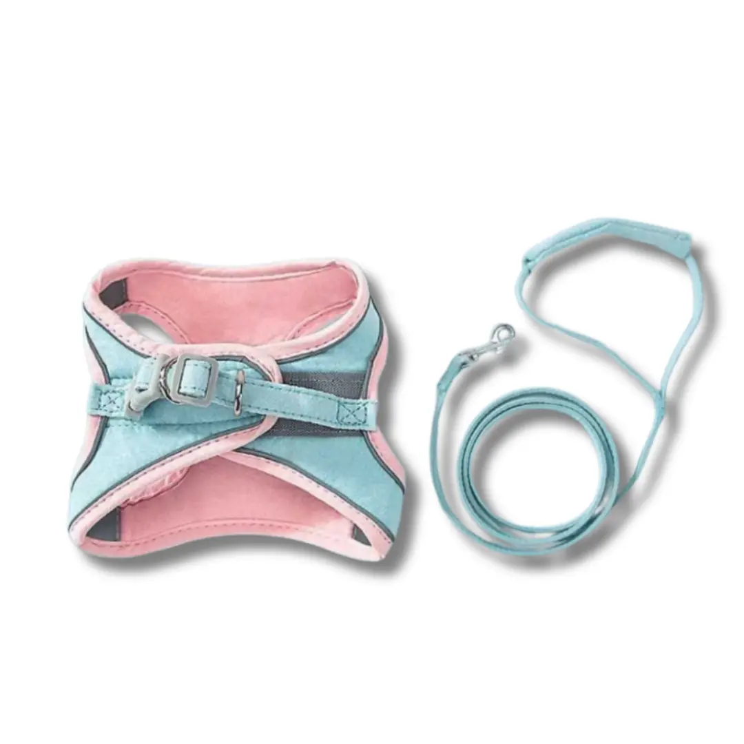 Catventure | Adjustable Safety Harness for Cats – Comfort & Security for Every Adventure TARHUS  Kattentuigje – Verstelbaar en Ontsnappingsproof Kattenharnas met Reflecterende Strepen, Veiligheidstuigje en Inclusief Verstelbare Kattenriem