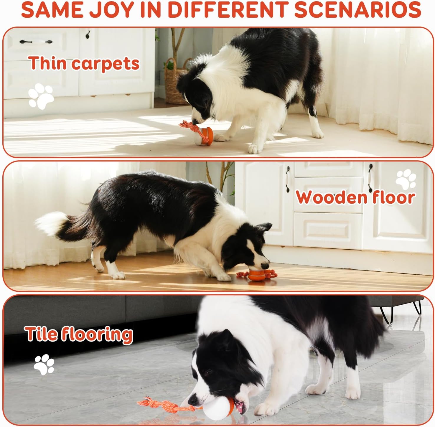 Interactive Dog Toy | Smart Rolling Ball for Active Pets TARHUS  Pets