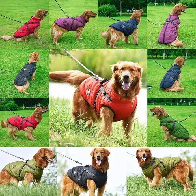 Waterproof Dog Jacket – Keep Your Pup Warm & Dry This Aussie Winter - TARHUS