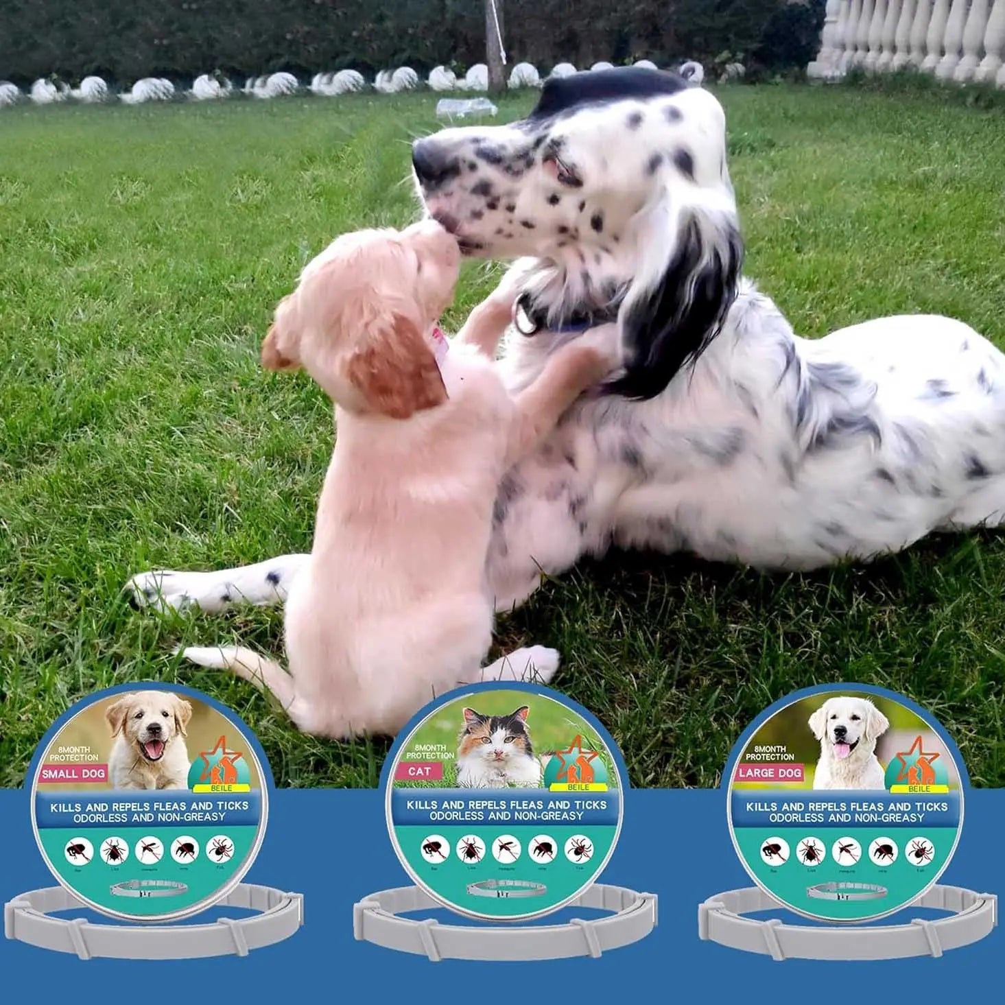 Flea and Tick Control Collar – Cats and Dogs 8 Months Protection - TARHUS