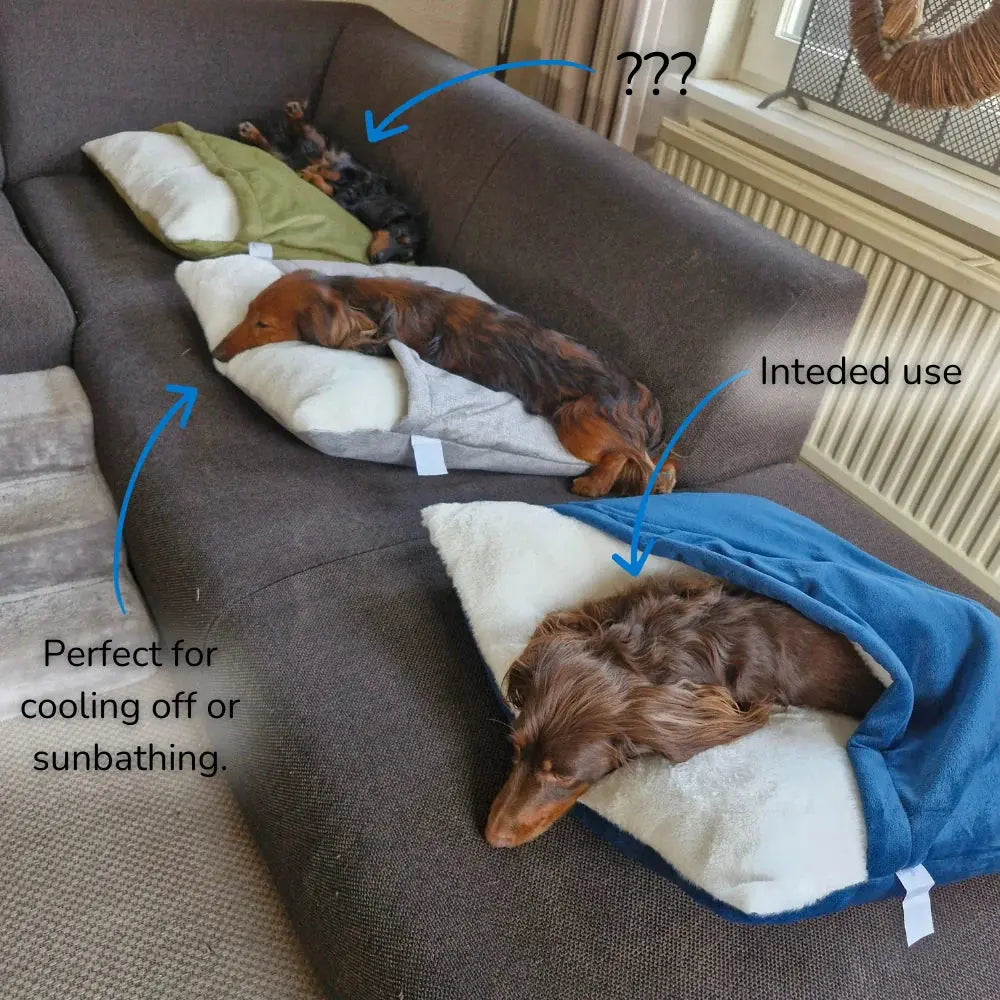 Snootzi - Dog Bed with Built-In Blanket - TARHUS