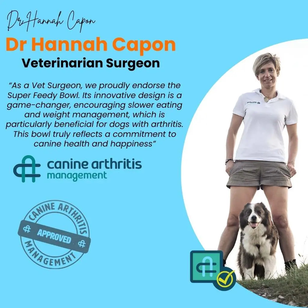 Slow Feeder Dog Bowl with Lick Mat – 4-in-1 Anti-Choke & Interactive Pet Feeder - TARHUS