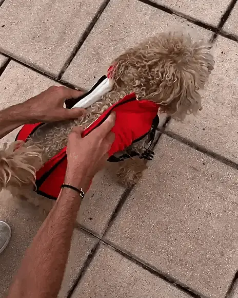 Pawver | Waterproof Dog Jacket – Warm, Fleece-Lined & Adjustable Winter Protection TARHUS